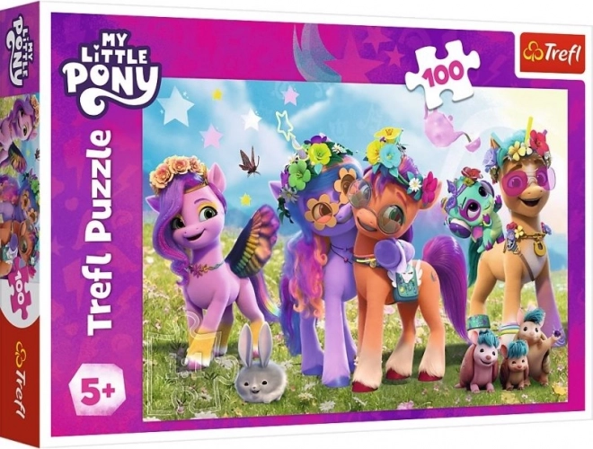 Funny Ponies Puzzle My Little Pony