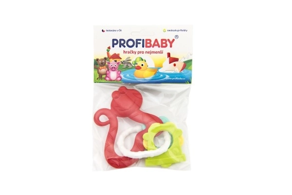 Rubber Teether with Charms