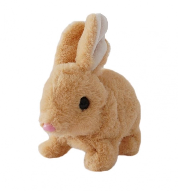 Battery Operated Beige Bunny
