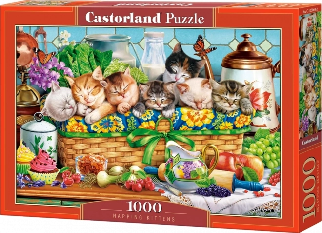 Sleeping Kittens Puzzle 1000 Pieces