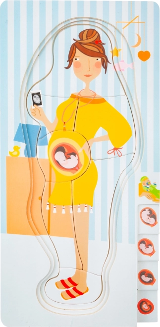 Layered Pregnancy Puzzle