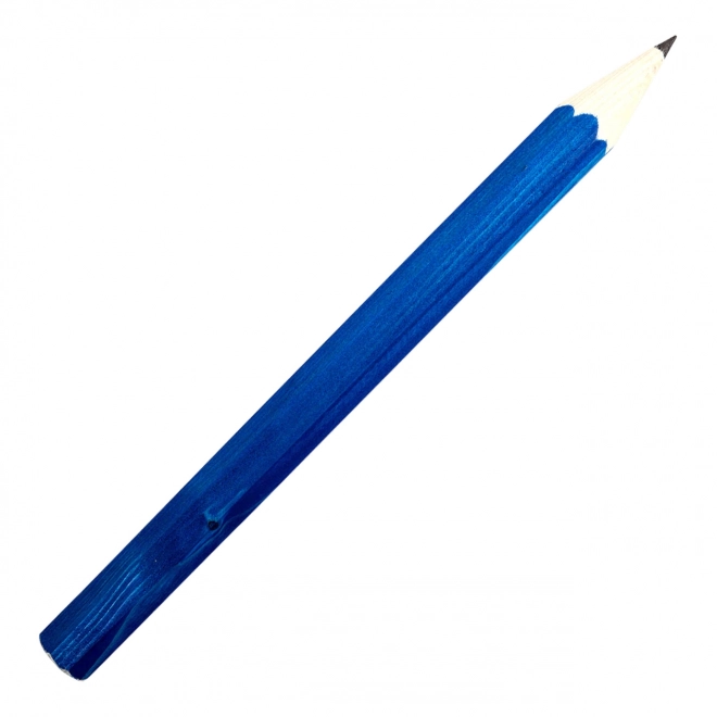 Large Blue Wooden Pencil