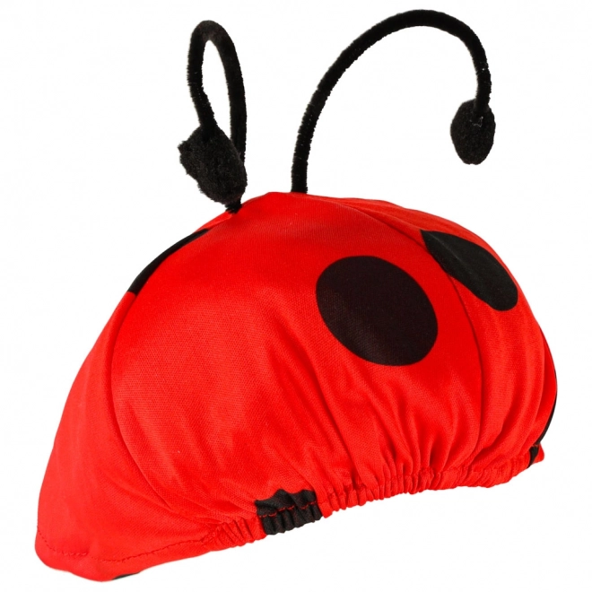 Children's Ladybug Costume