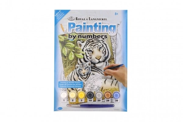 Paint by Numbers White Tigers Set