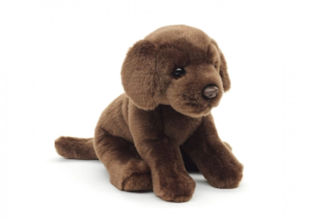 Plush Labrador 30 cm - Eco-Friendly