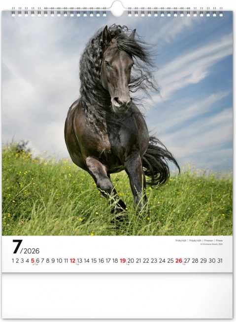 Vægkalender Heste 2026