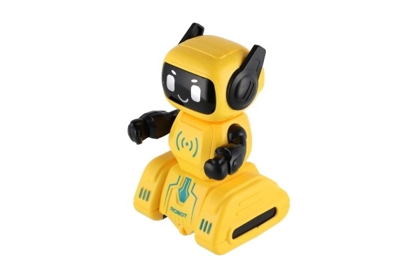 Wind-up Robot Toy