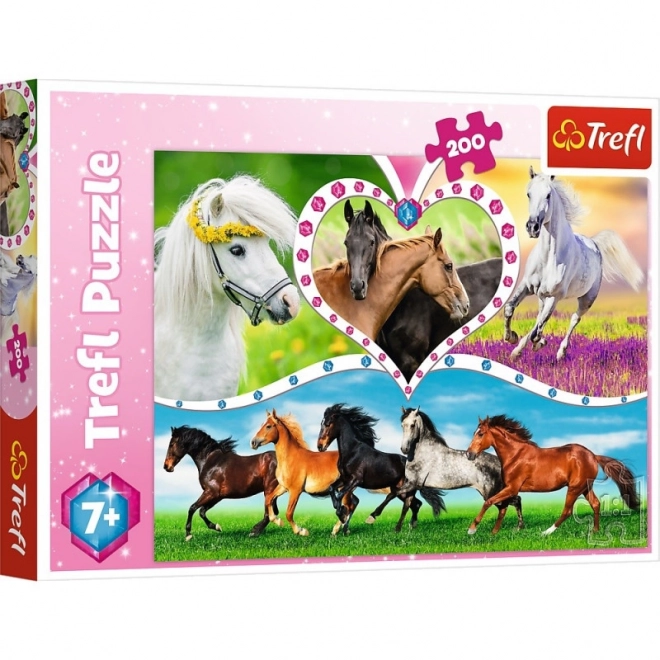 Beautiful Horses 200 Piece Puzzle