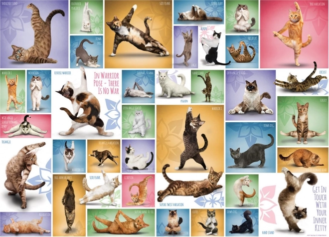 Eurographics 1000 Piece Cat Yoga Puzzle