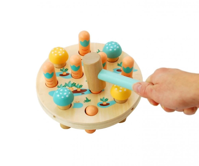 Educational and Fun
