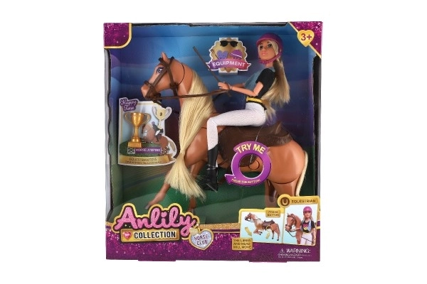 Anlily Equestrian Doll with Grooming Horse Set