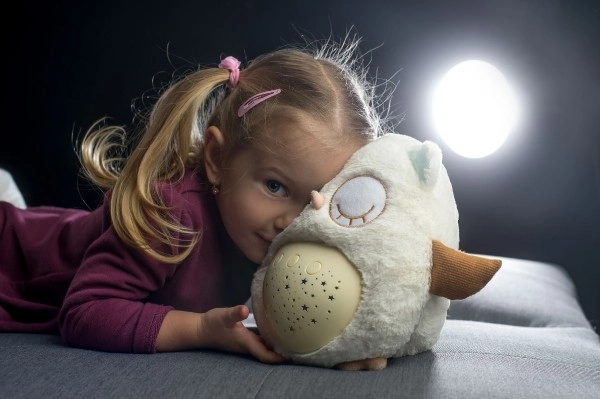 Sleepy Owl Night Light Toy