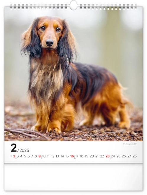 Notique Wall Calendar Dogs 2025