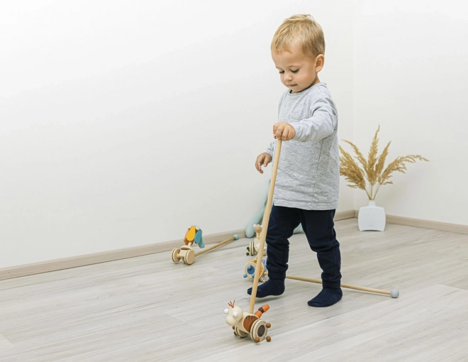 Wooden Dinosaur Push Toy