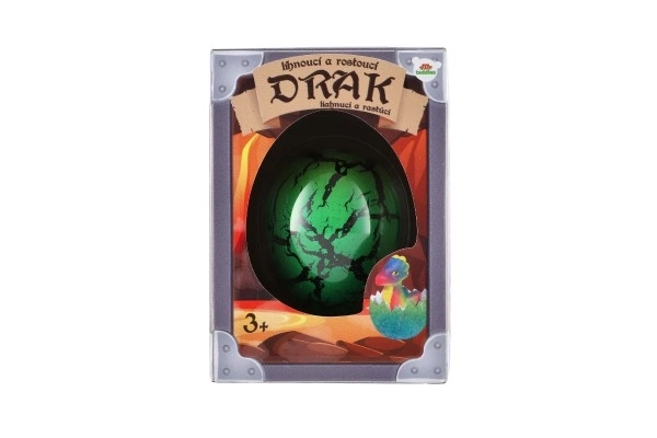 Hatching and Growing Dragon Egg Toy