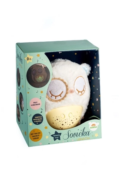 Sleepy Owl Night Light Toy