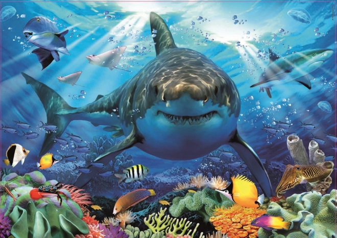 White Shark Puzzle 500 Pieces