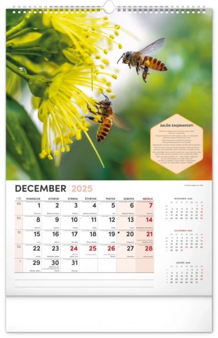 Wall Beekeeper Calendar 2025