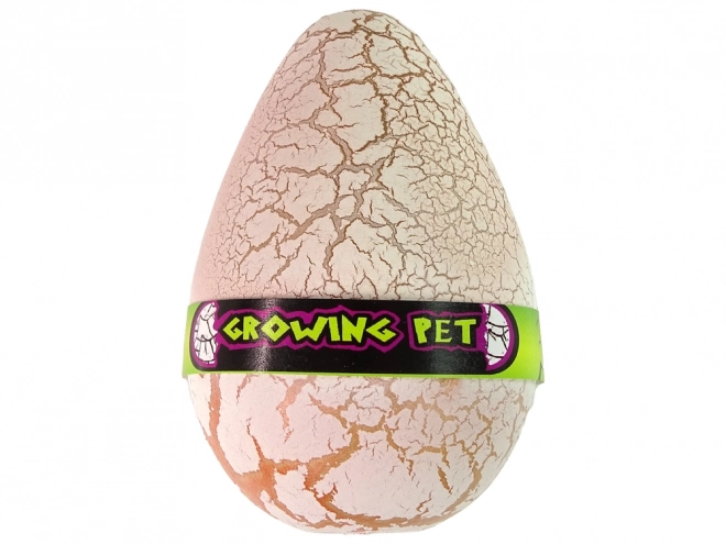 Growing Dinosaur Egg