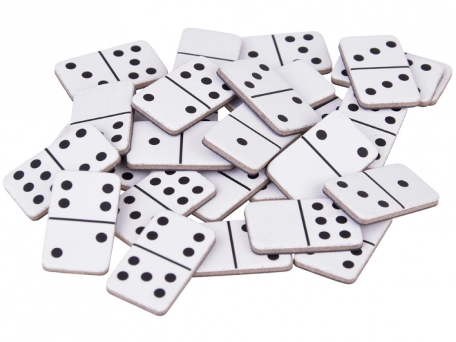 Magnetic Domino Travel Game for Kids and Adults