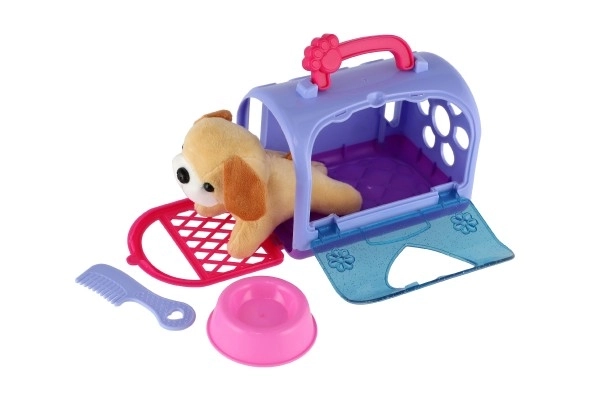 Doggy in a Transport Box with Accessories