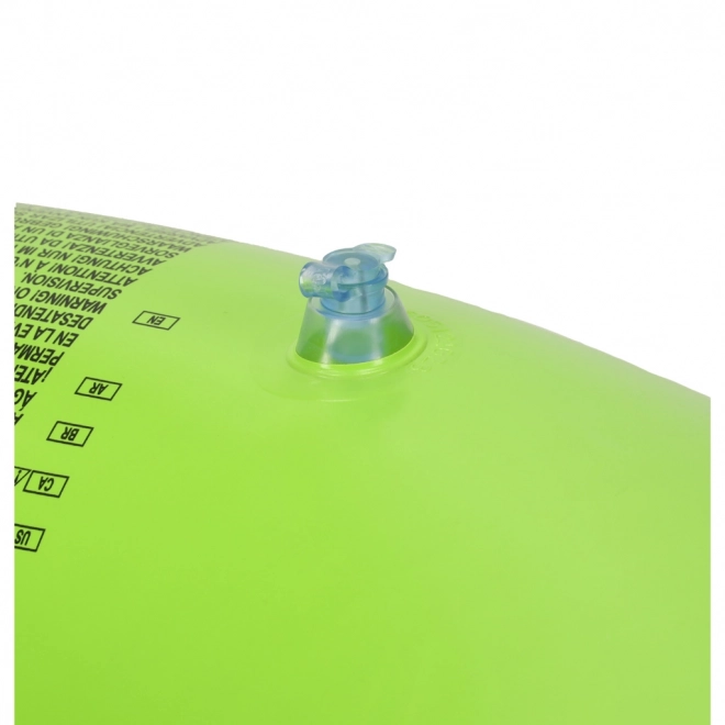 Inflatable Swim Ring Frog Design