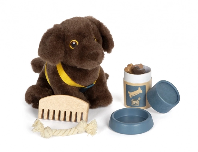 Plush Dog with Care Set