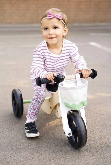 Tricycle Salvia Green Convertible Bike