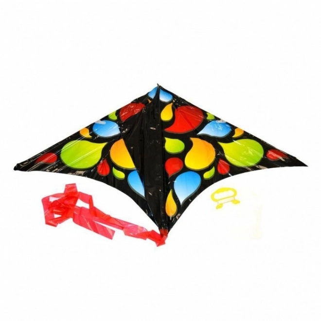 Kite 61 x 114 cm