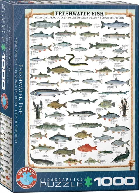 EUROGRAPHICS Puzzle Pesci d'acqua dolce 1000 pezzi