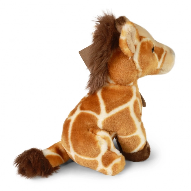 Plush Toy Sitting Giraffe Eco-Friendly