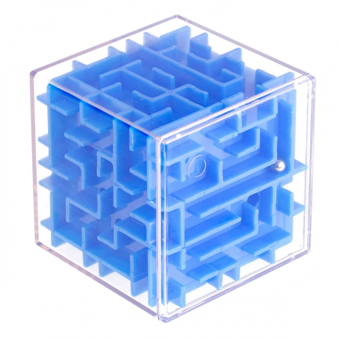3D Puzzle Maze Skill Game