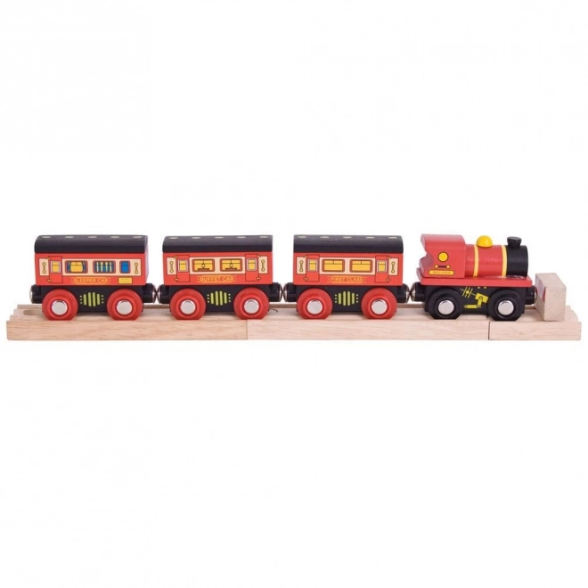 Long Distance Wooden Sleeper Train Set