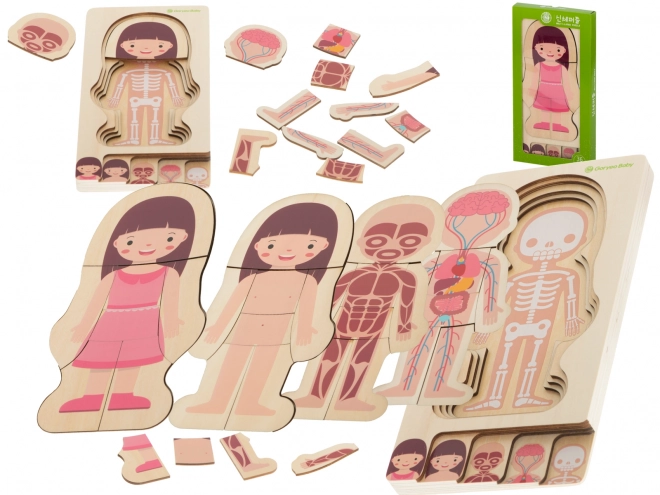 Educational Wooden Body Construction Puzzle Montessori for Girls