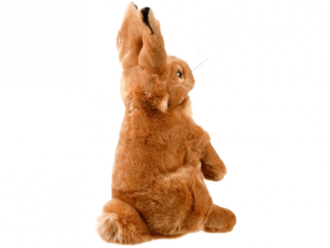 Plush Sitting Hare Toy