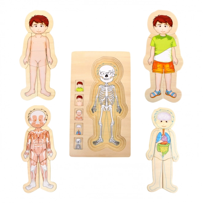 Small Foot Wooden Puzzle Anatomy Tim