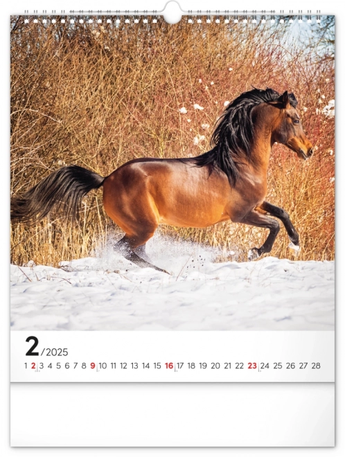 Wall Calendar Horses 2025