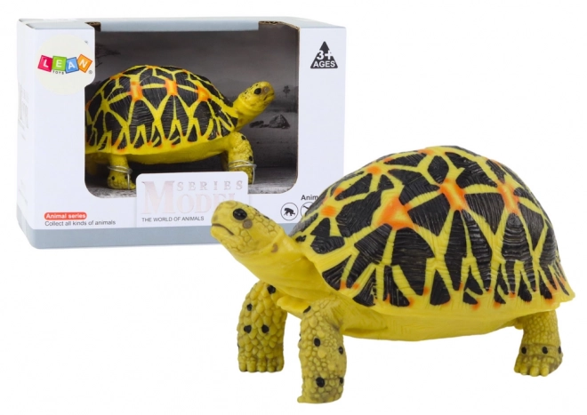 Turtle Collector's Figurine