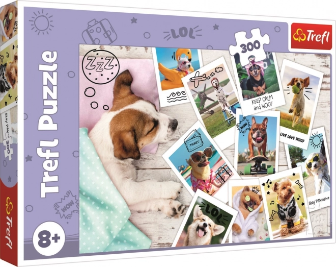 Trefl Holiday Photos 300 Piece Puzzle