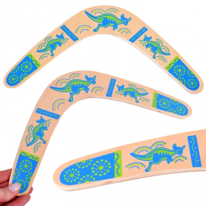 Wooden Boomerang Fun Toy