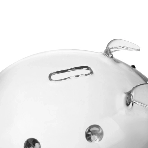 Glass Piggy Bank