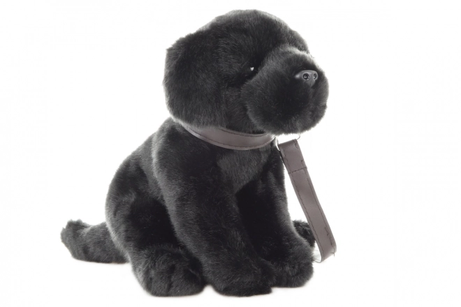 Eco-Friendly Plush Labrador with Leash