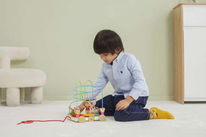 Wooden Pull-Along Maze Toy