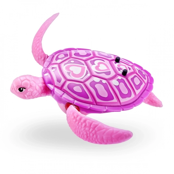 Swimming Robo Turtle Toy Pack