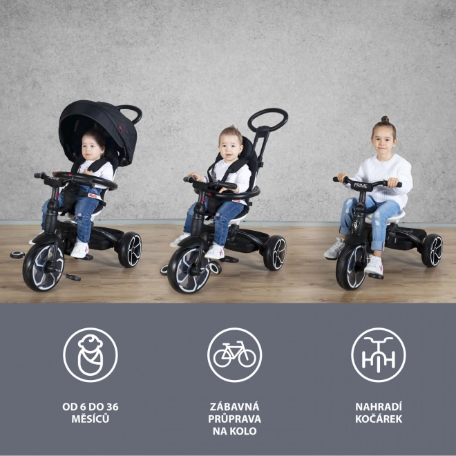 Stylish Black Toddler Tricycle