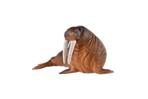 Arctic Walrus Plastic 11cm in Bag