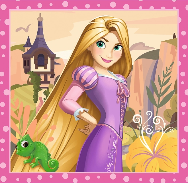 Disney Princess Puzzles Beautiful Flowers