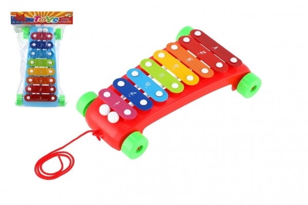 Colorful Children's Xylophone on Wheels