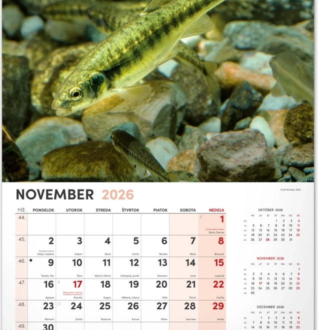 Wall Calendar Fishing 2026