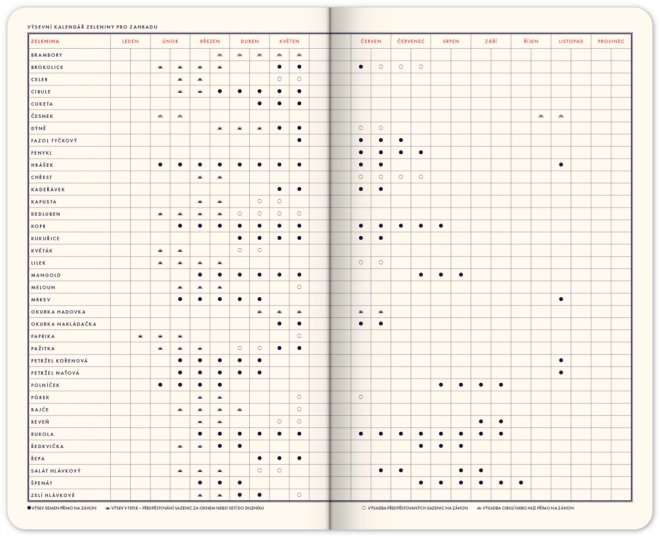 Fun Calendar by Kateřina Winterová 2025